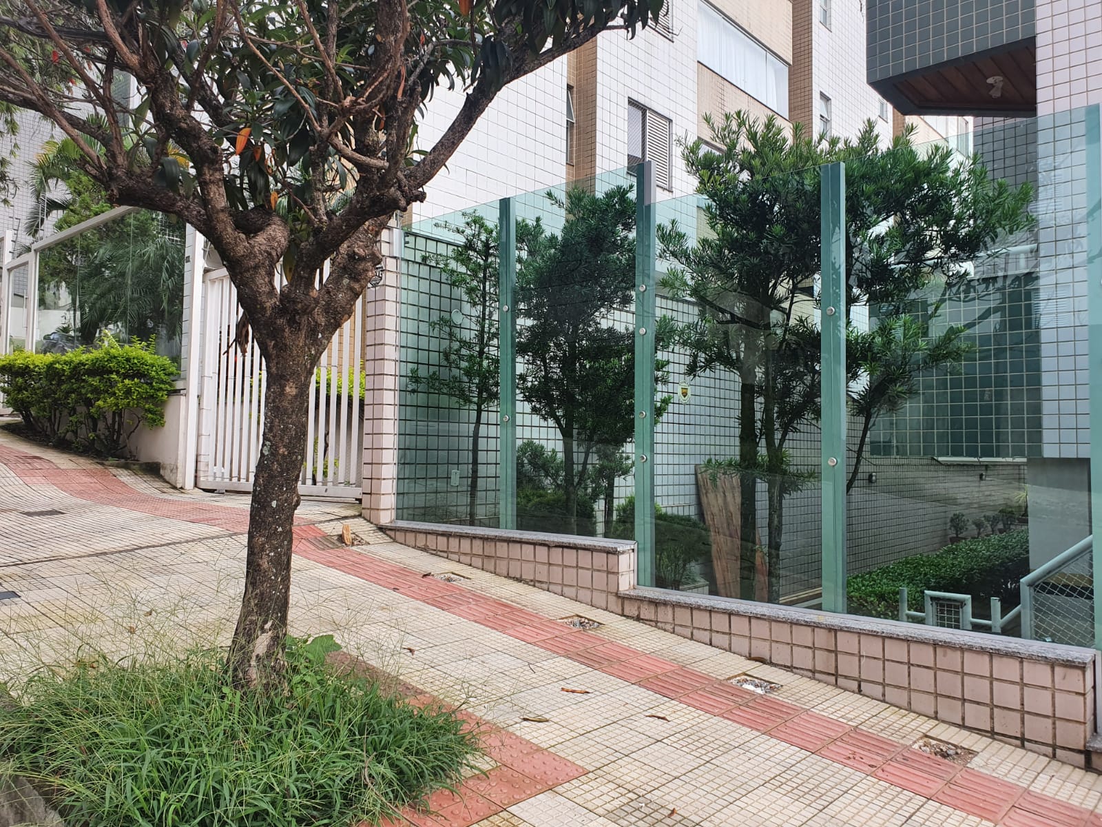 Item Muro de vidro