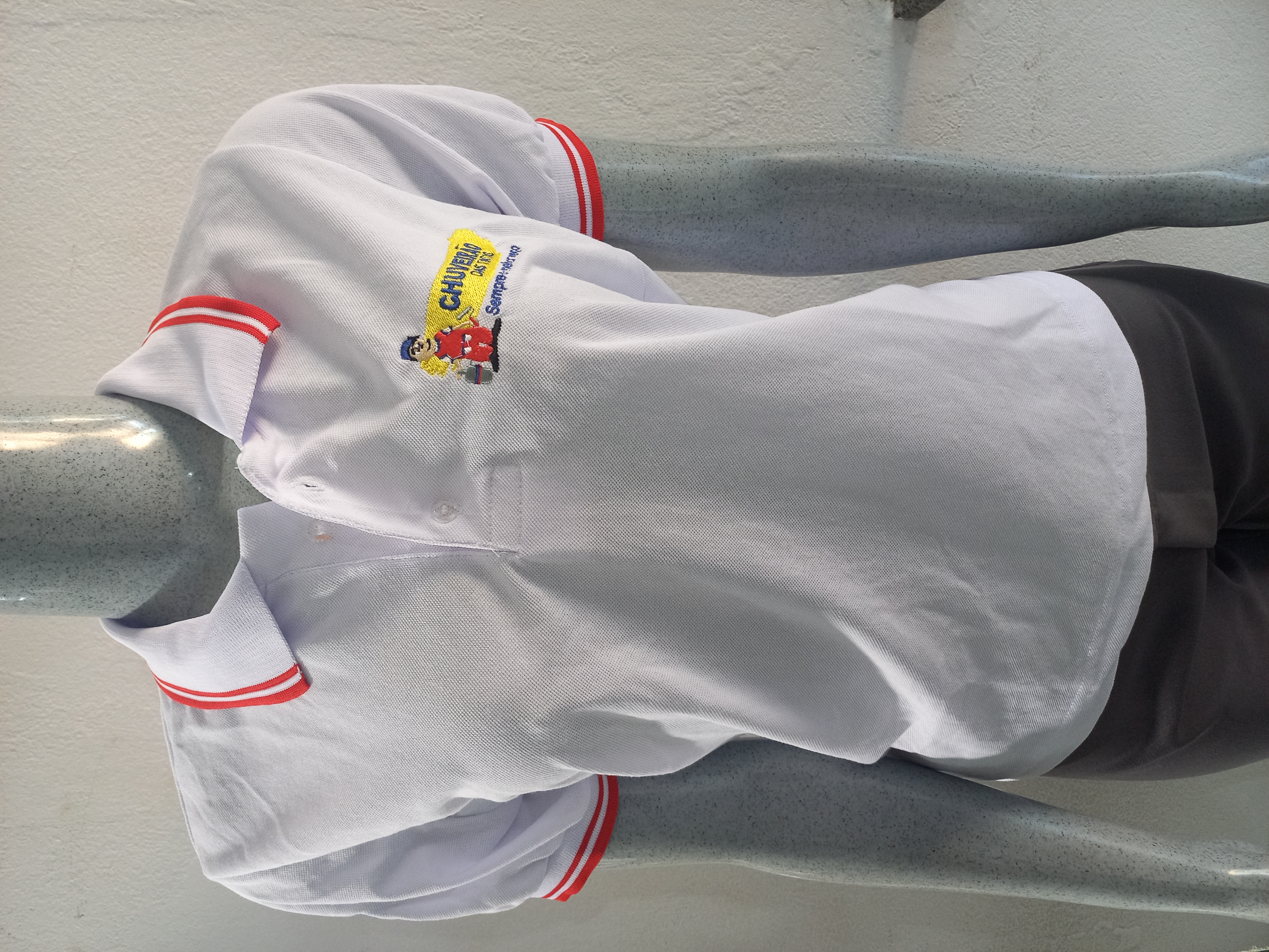 Item Camisetas Polo
