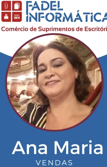 Logo da empresa P L F COMERCIO EIRELI