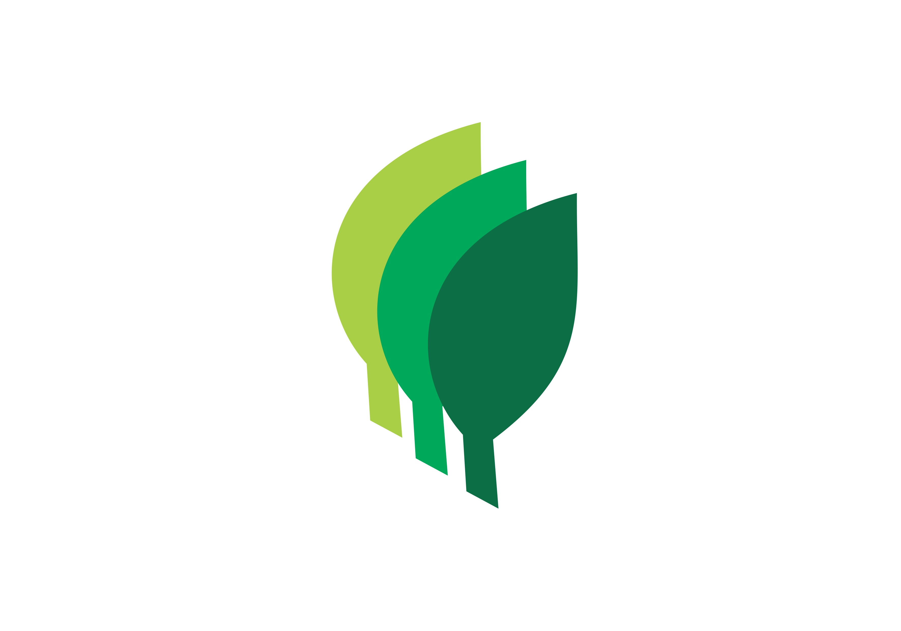 Logo da empresa MADEIREIRA AMAZONAS LTDA