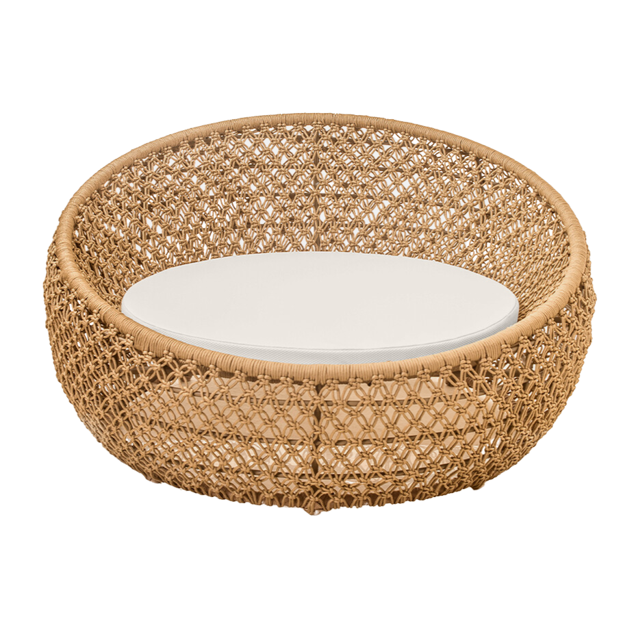 Item CONCHA HIVE