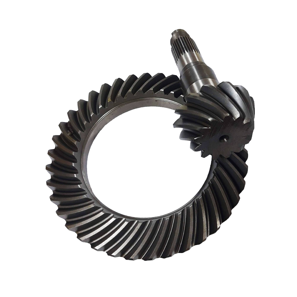 Item COROA E PINHÃO