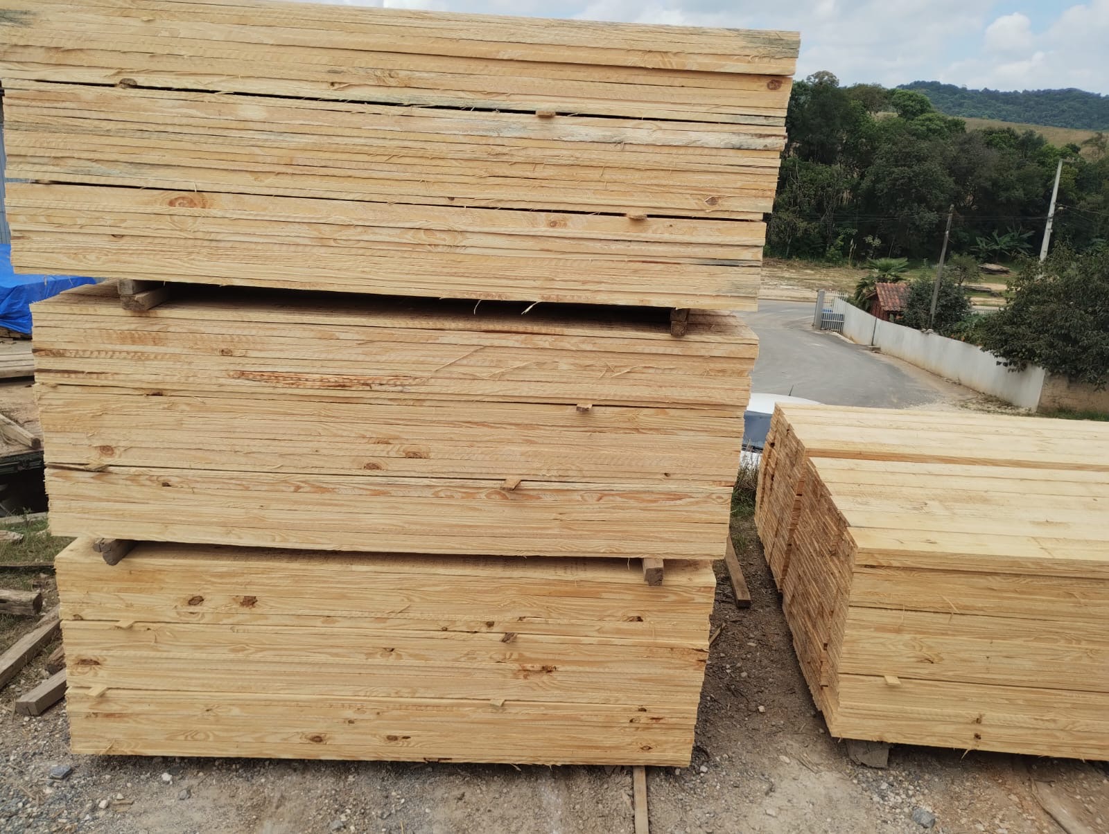 Item Madeira de Pinus com qualidade e preços excelentes