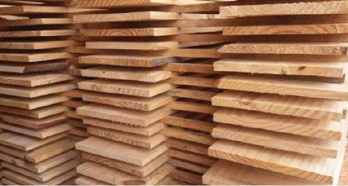 Item Pinus Caixaria