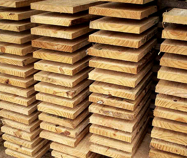 Item Pinus Caixaria