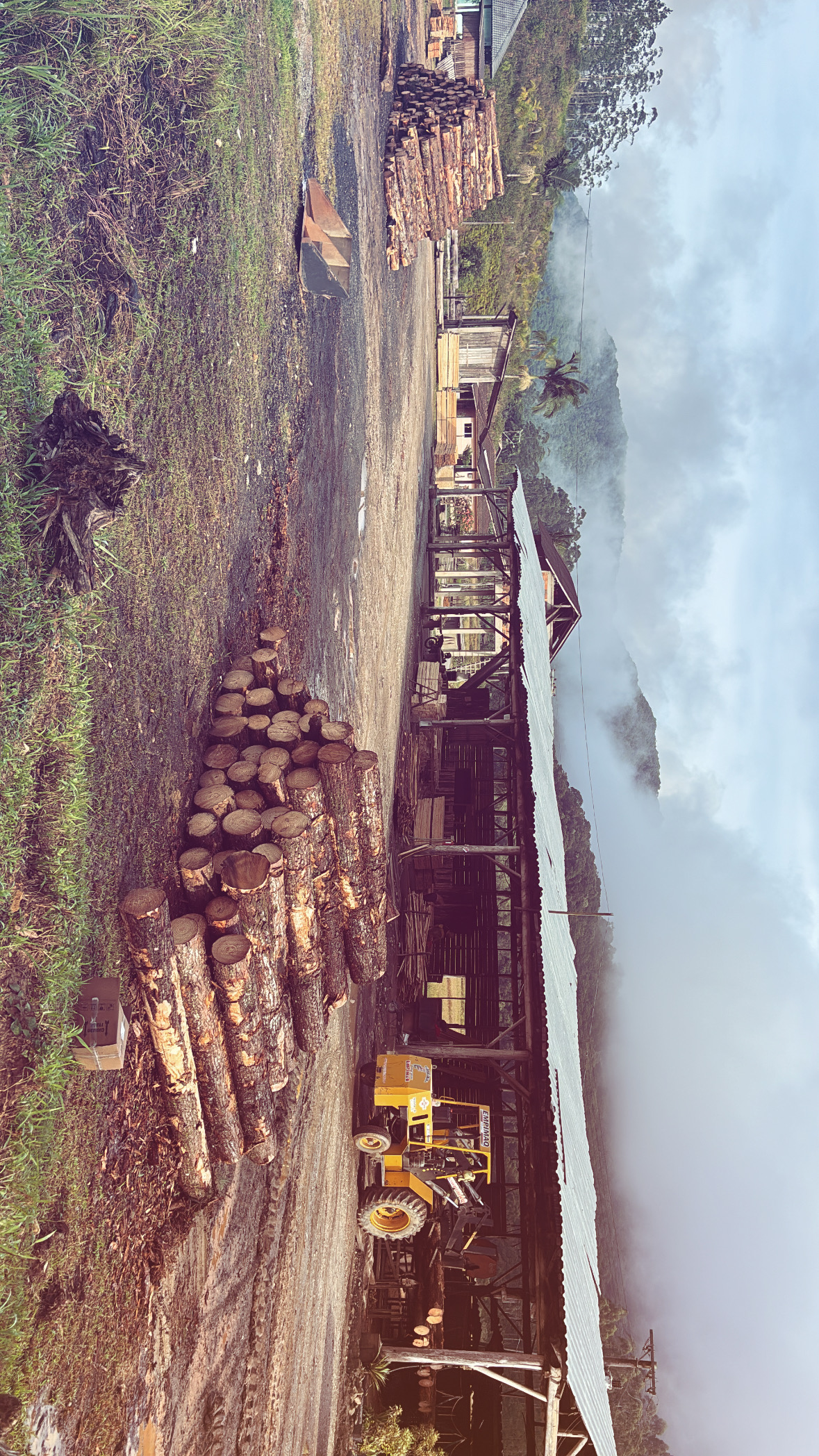 Item Madeira caixaria pinos bruto