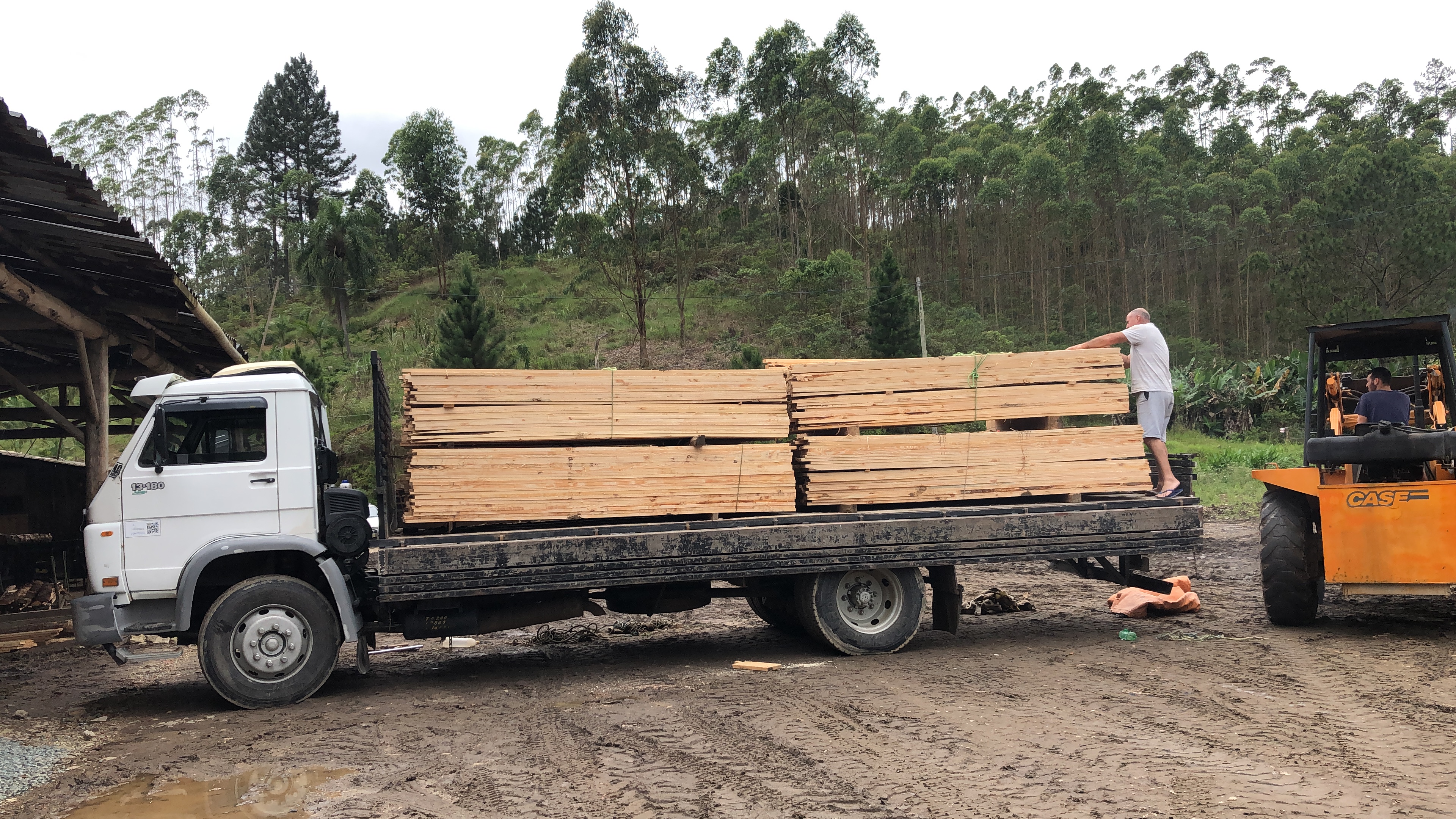 Item Madeira caixaria pinos bruto