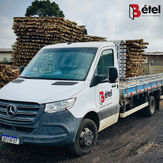 Item Excelência em Madeira: Estrutura, Estoque e Entrega de Alta Performance